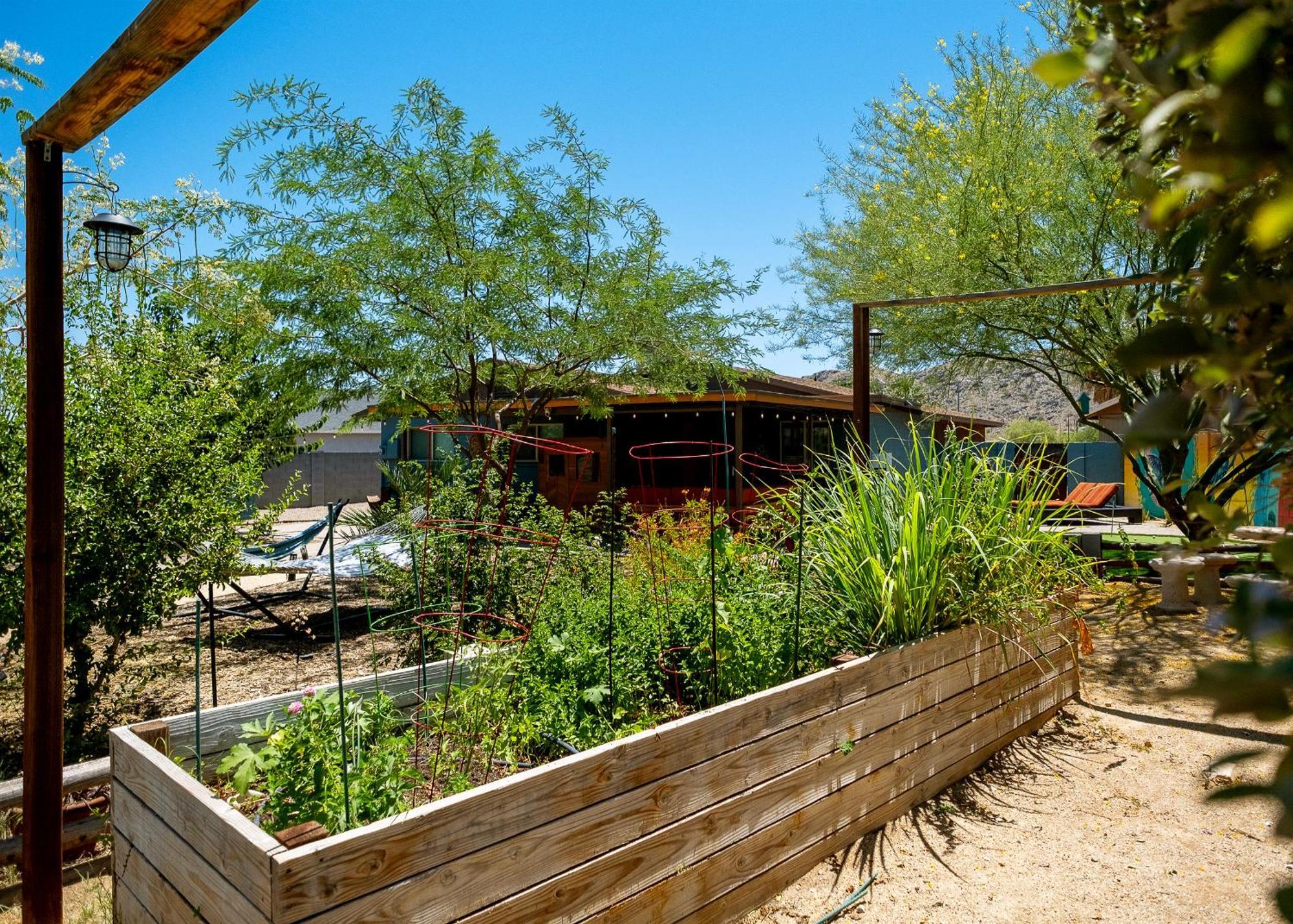 The Hummingbird House, Sauna & Mountain Views! Phoenix Extérieur photo